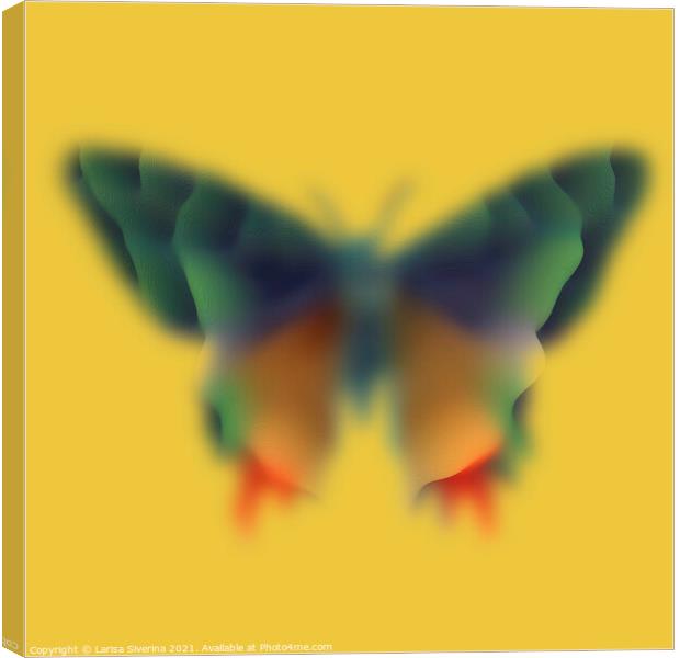 Blurred butterfly Canvas Print by Larisa Siverina