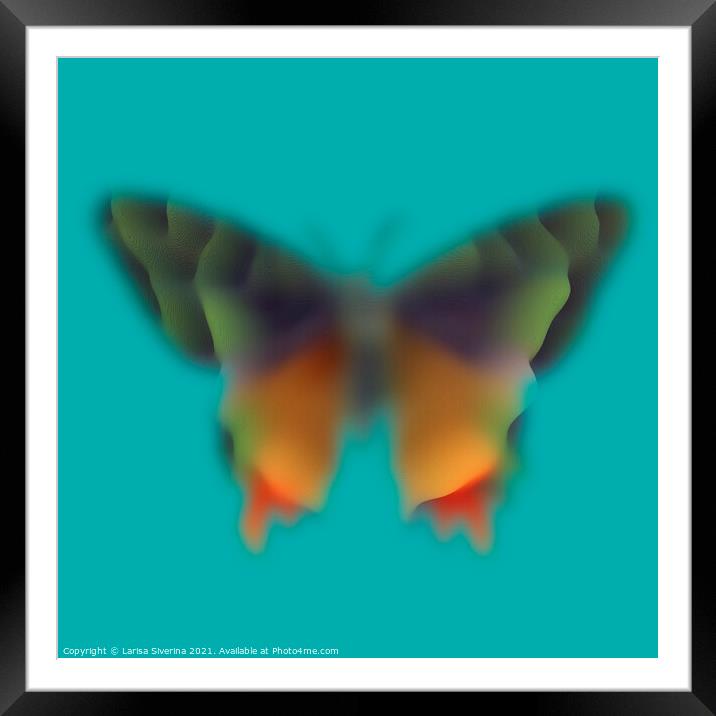 Blurred butterfly Framed Mounted Print by Larisa Siverina