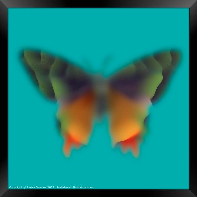 Blurred butterfly Framed Print by Larisa Siverina