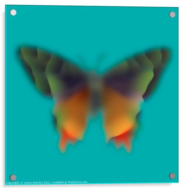 Blurred butterfly Acrylic by Larisa Siverina