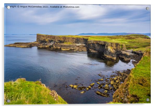 Sea cliffs on west coast of Isle of Staffa Acrylic by Angus McComiskey