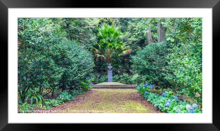A Lush Oasis Framed Mounted Print by Margaret Ryan
