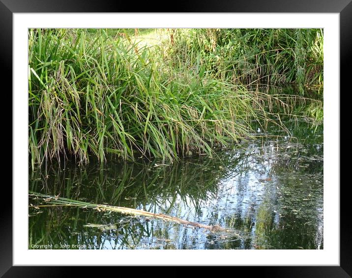 Reflections in Chalkwell Park Framed Mounted Print by John Bridge