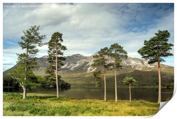 The Pines of Loch Clair Print by Jamie Green