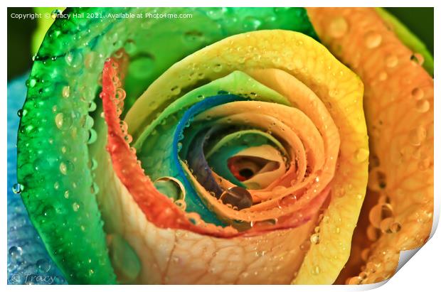 Rainbow Rose Print by Tracy Hall