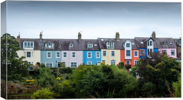 Colourful Terrace, Alnmouth Canvas Print by Mark Jones