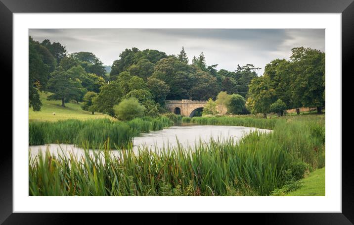 Lion Bridge, Alnwick Framed Mounted Print by Mark Jones