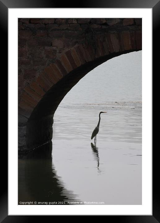 Under a Bridge Framed Mounted Print by anurag gupta