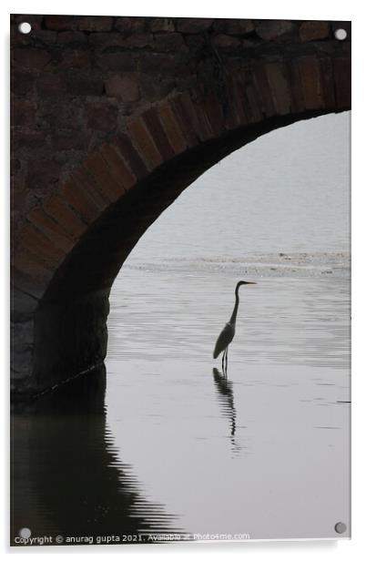 Under a Bridge Acrylic by anurag gupta