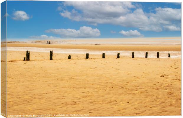 Wells next the sea, breakers on the beach Canvas Print by Holly Burgess