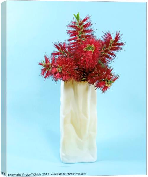  Red Bottlebrush flowers in a white vase closeup. Canvas Print by Geoff Childs