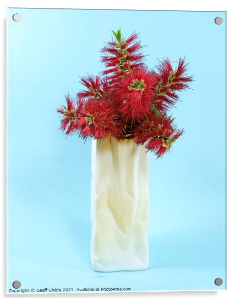  Red Bottlebrush flowers in a white vase closeup. Acrylic by Geoff Childs