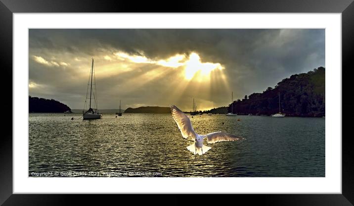Seagull at Sunrise with Crepuscular Rays. Framed Mounted Print by Geoff Childs