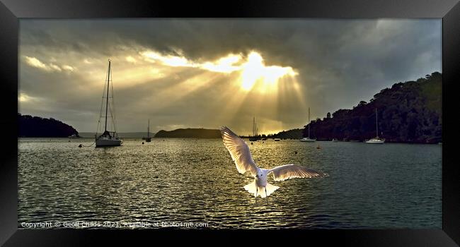 Seagull at Sunrise with Crepuscular Rays. Framed Print by Geoff Childs