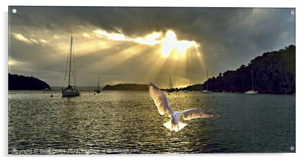 Seagull at Sunrise with Crepuscular Rays. Acrylic by Geoff Childs