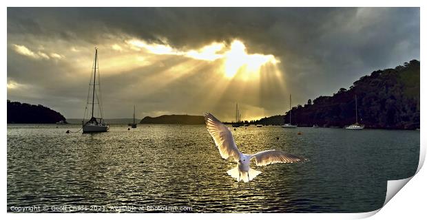 Seagull at Sunrise with Crepuscular Rays. Print by Geoff Childs
