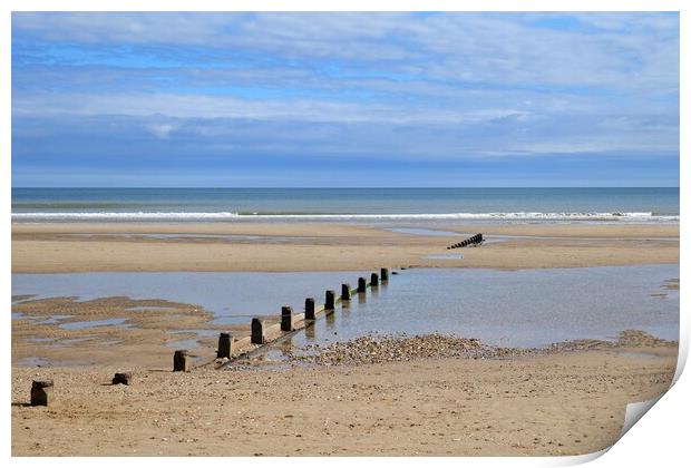 Sea shore beach groins  Print by Roy Hinchliffe