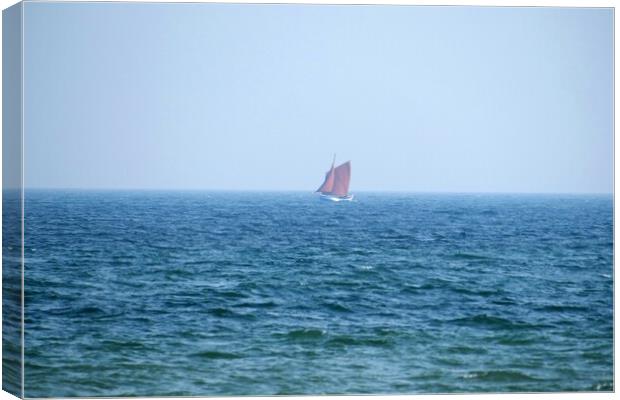 Lone red sailing boat Canvas Print by Roy Hinchliffe