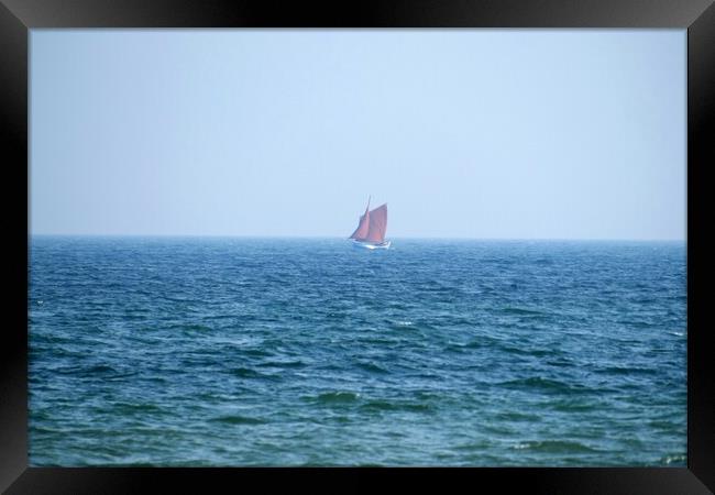 Lone red sailing boat Framed Print by Roy Hinchliffe