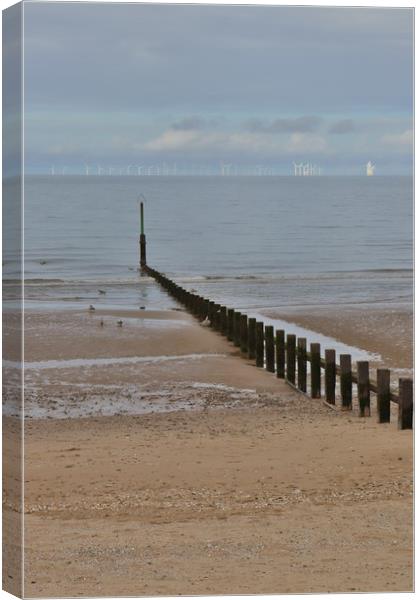 North Wales Coast Canvas Print by Emily Koutrou