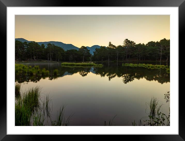 Calm sunrise in the bassa d´oles of the Aran Valley Framed Mounted Print by Vicen Photo