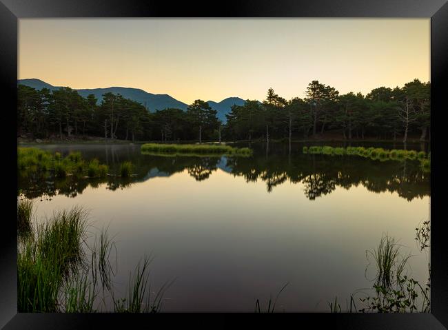 Calm sunrise in the bassa d´oles of the Aran Valley Framed Print by Vicen Photo