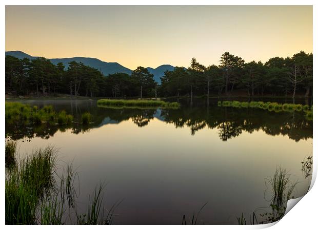 Calm sunrise in the bassa d´oles of the Aran Valley Print by Vicen Photo