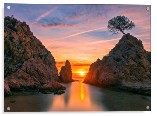 A calm sunrise between the rocks, Tossa de Mar Acrylic by Vicen Photo