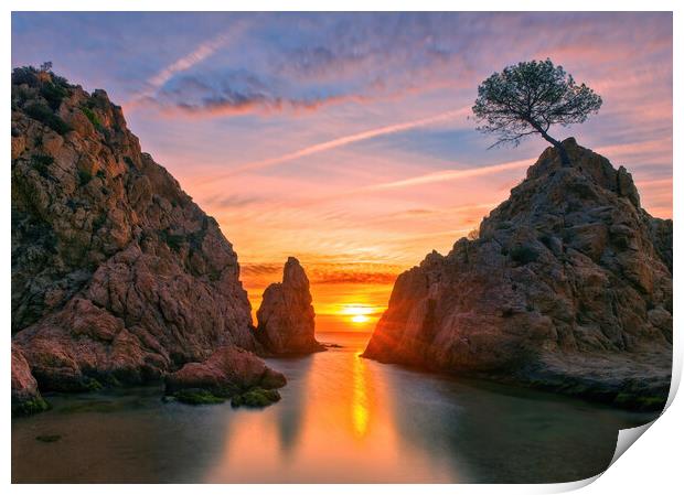 A calm sunrise between the rocks, Tossa de Mar Print by Vicen Photo