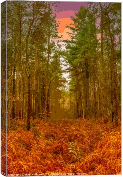 Delamere Forest in the morning Canvas Print by Paul Madden