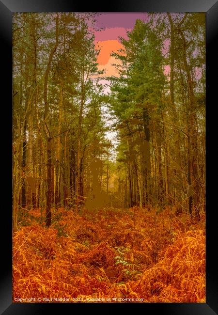 Delamere Forest in the morning Framed Print by Paul Madden