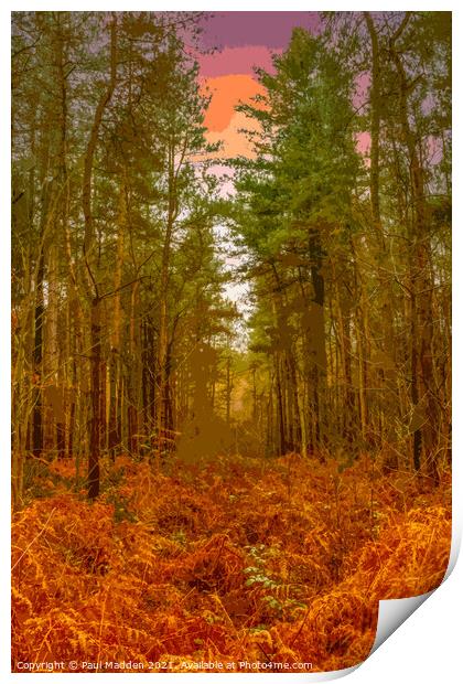 Delamere Forest in the morning Print by Paul Madden