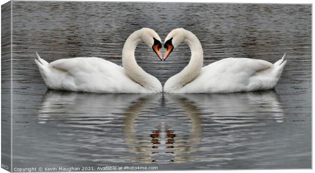 Majestic Swans Swimming in a Heart-Shaped Pond Canvas Print by Kevin Maughan