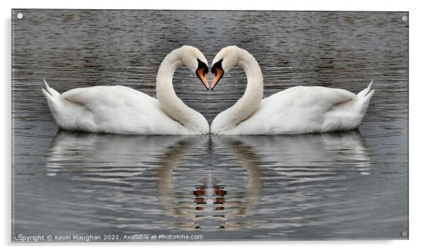 Majestic Swans Swimming in a Heart-Shaped Pond Acrylic by Kevin Maughan