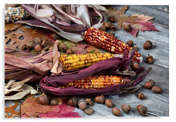 Real corn plus acorns and foliage leaves on weathered wood Acrylic by Thomas Baker