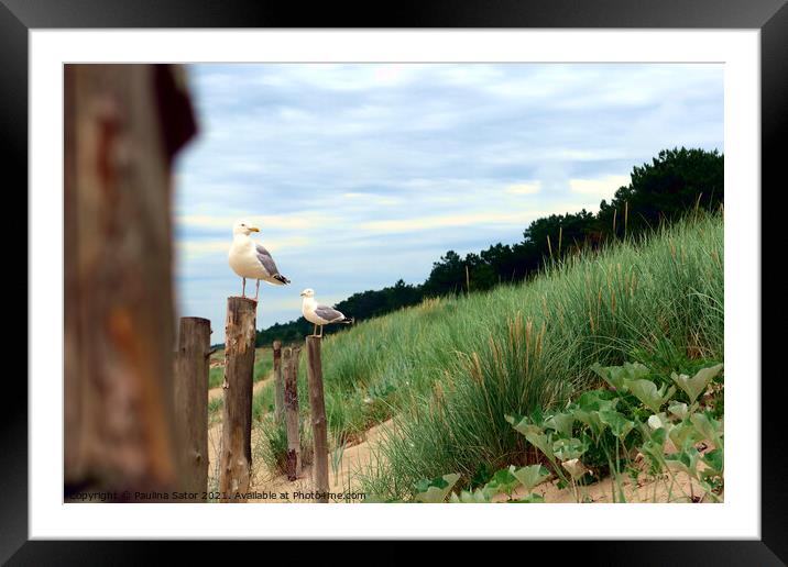 Watching seagulls Framed Mounted Print by Paulina Sator