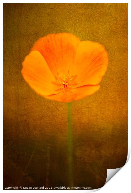 Buttercup with texture Print by Susan Leonard