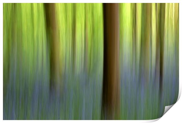Abstract Bluebell Wood Print by Susan Snow
