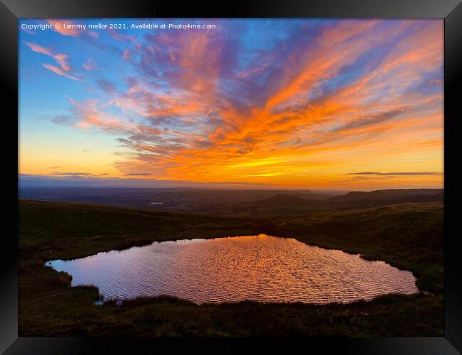 Majestic Sunset over Mermaid Pool Framed Print by tammy mellor