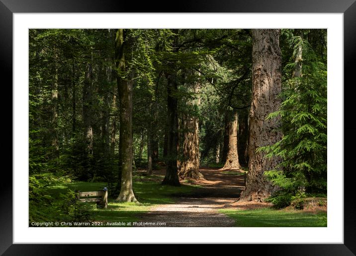 Footpath leading through the trees Framed Mounted Print by Chris Warren