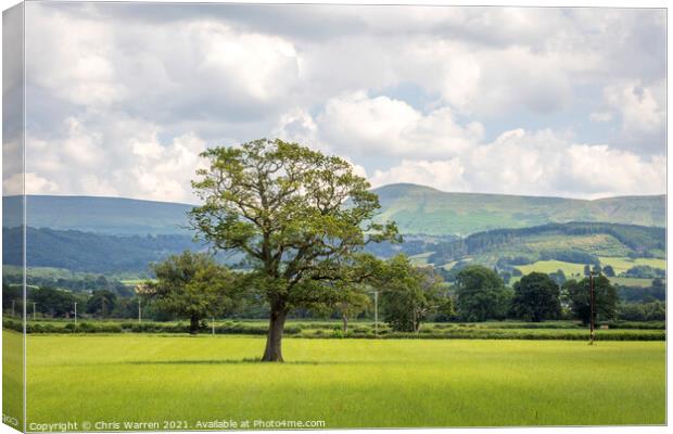 Open countryside near Glasbury Powys Canvas Print by Chris Warren