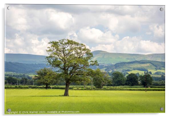 Open countryside near Glasbury Powys Acrylic by Chris Warren