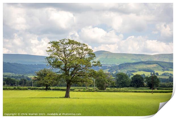 Open countryside near Glasbury Powys Print by Chris Warren