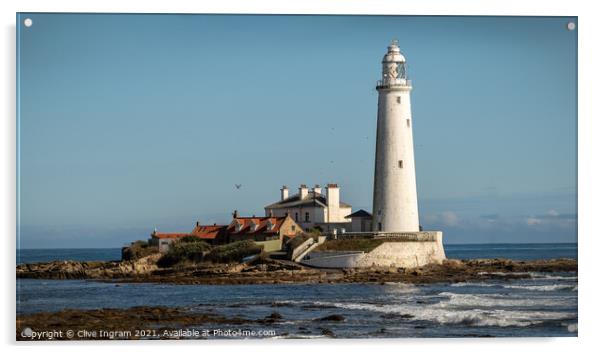 Majestic St Marys Lighthouse Acrylic by Clive Ingram