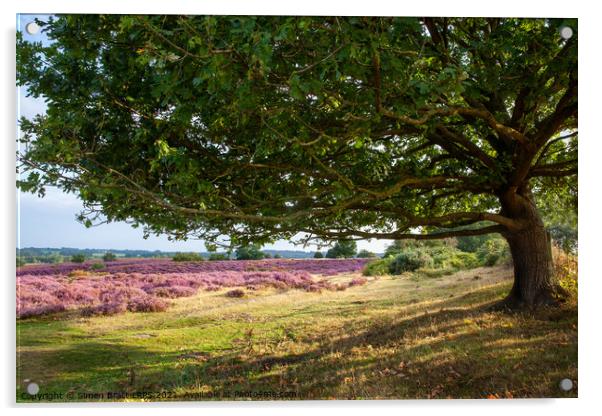 Oak tree view to purple heather fields Norfolk Acrylic by Simon Bratt LRPS