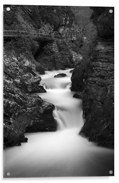 The Soteska Vintgar gorge in Black and White Acrylic by Ian Middleton