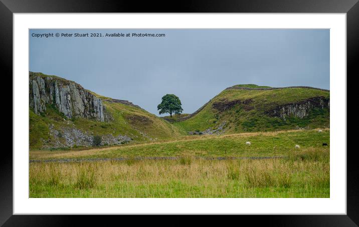 Peel Crags above Once Brewed on Hadrian's Wall Walk Framed Mounted Print by Peter Stuart