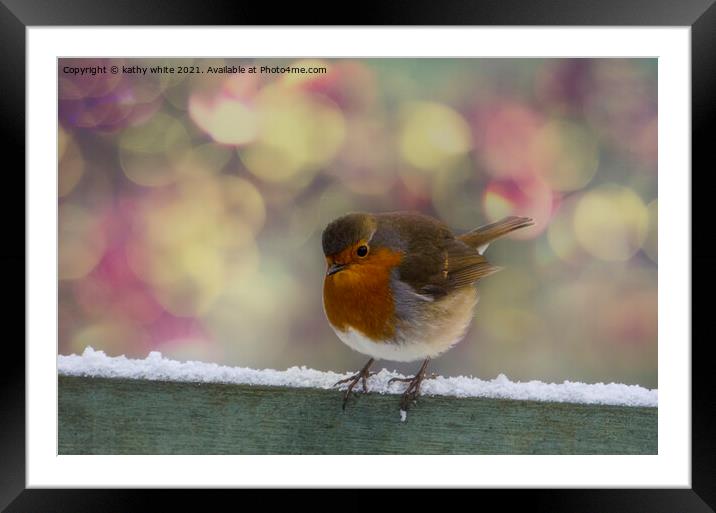  Robin, Red Breast  Framed Mounted Print by kathy white