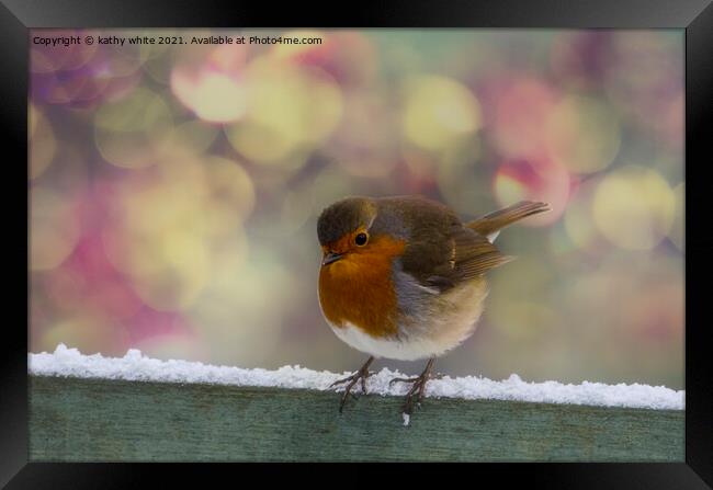  Robin, Red Breast  Framed Print by kathy white