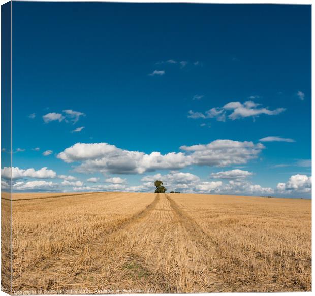 After the harvest Canvas Print by Richard Laidler